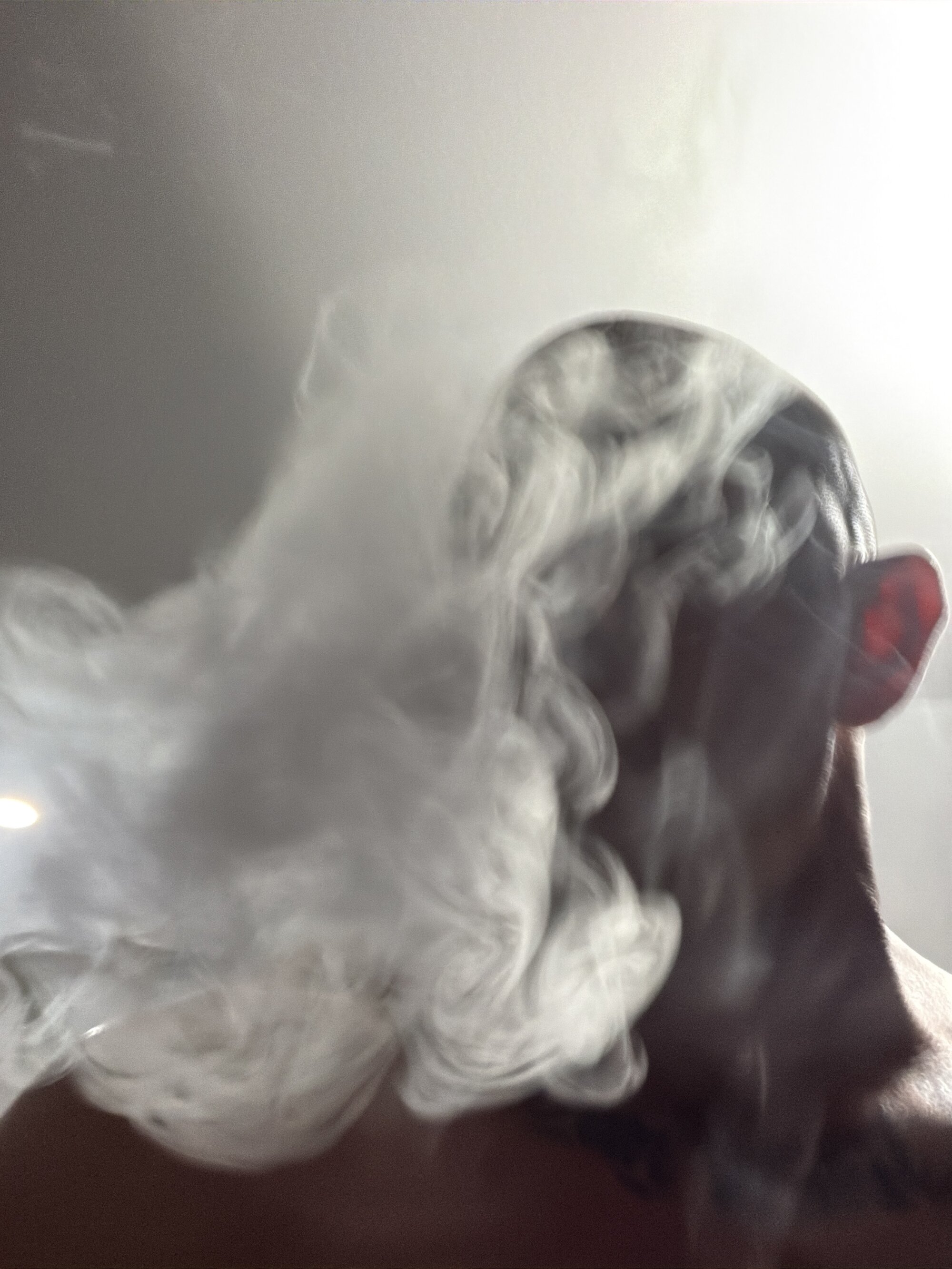 HighonTee