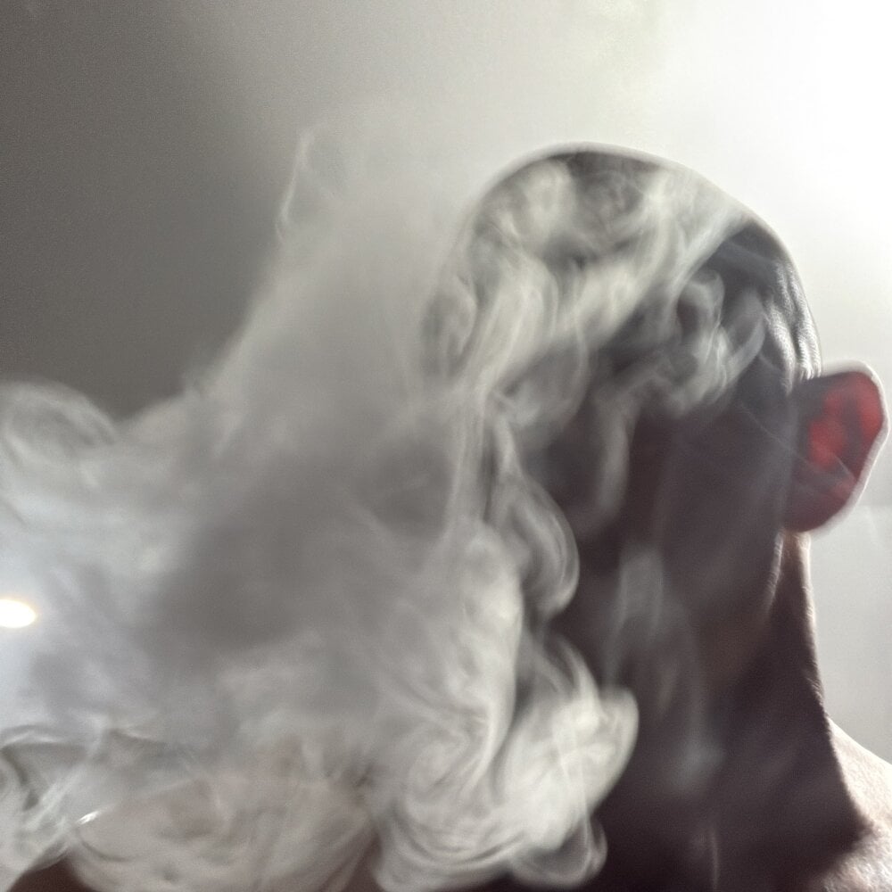 highontee from stripchat