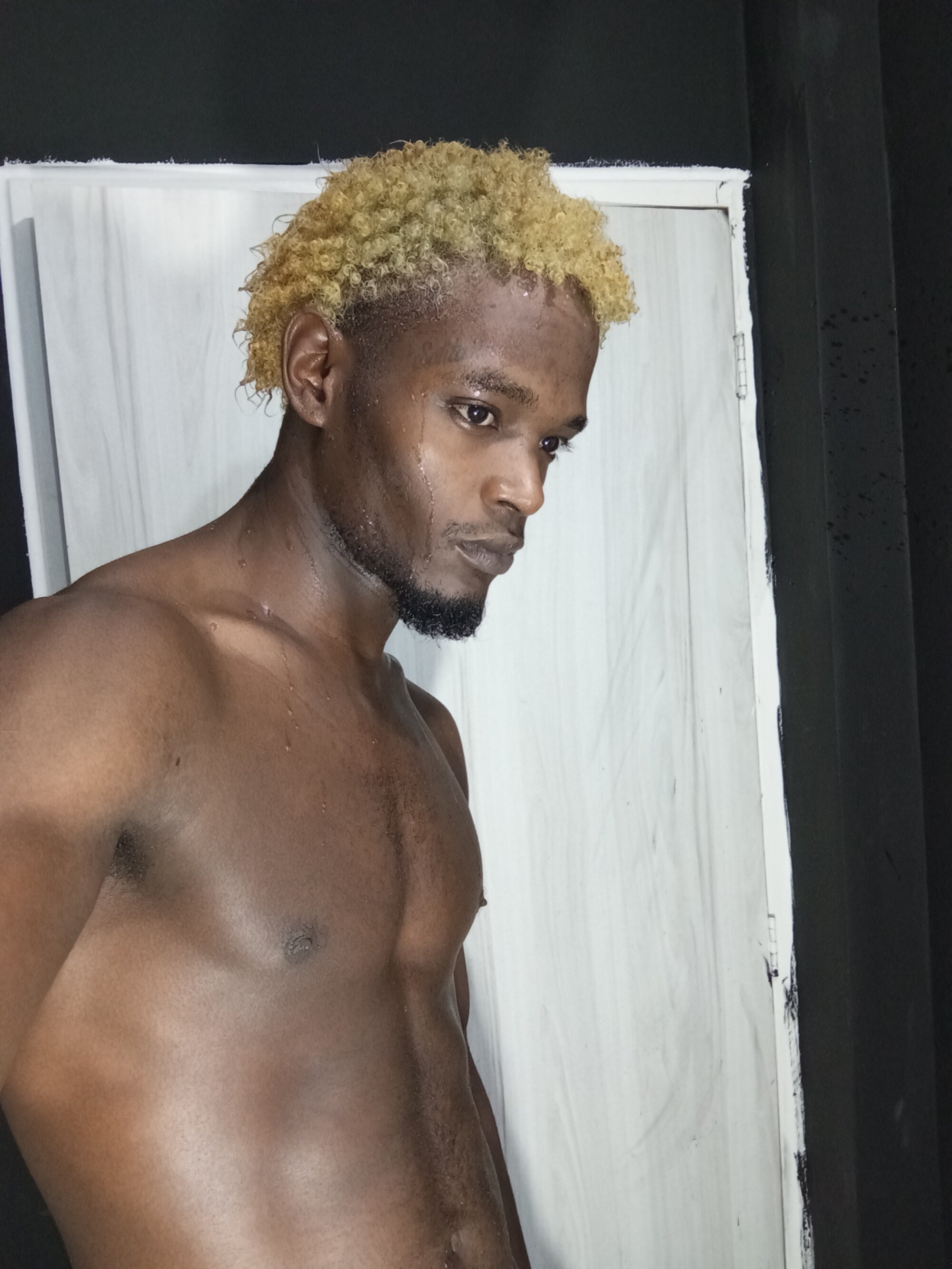 king_viv1