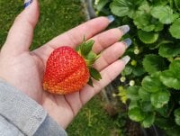 DoubleDees1992's Offline XXX Chat