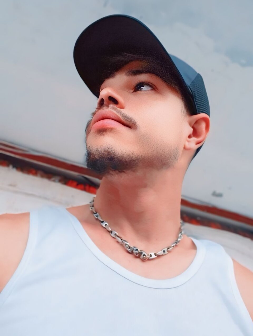 perrokysoficial