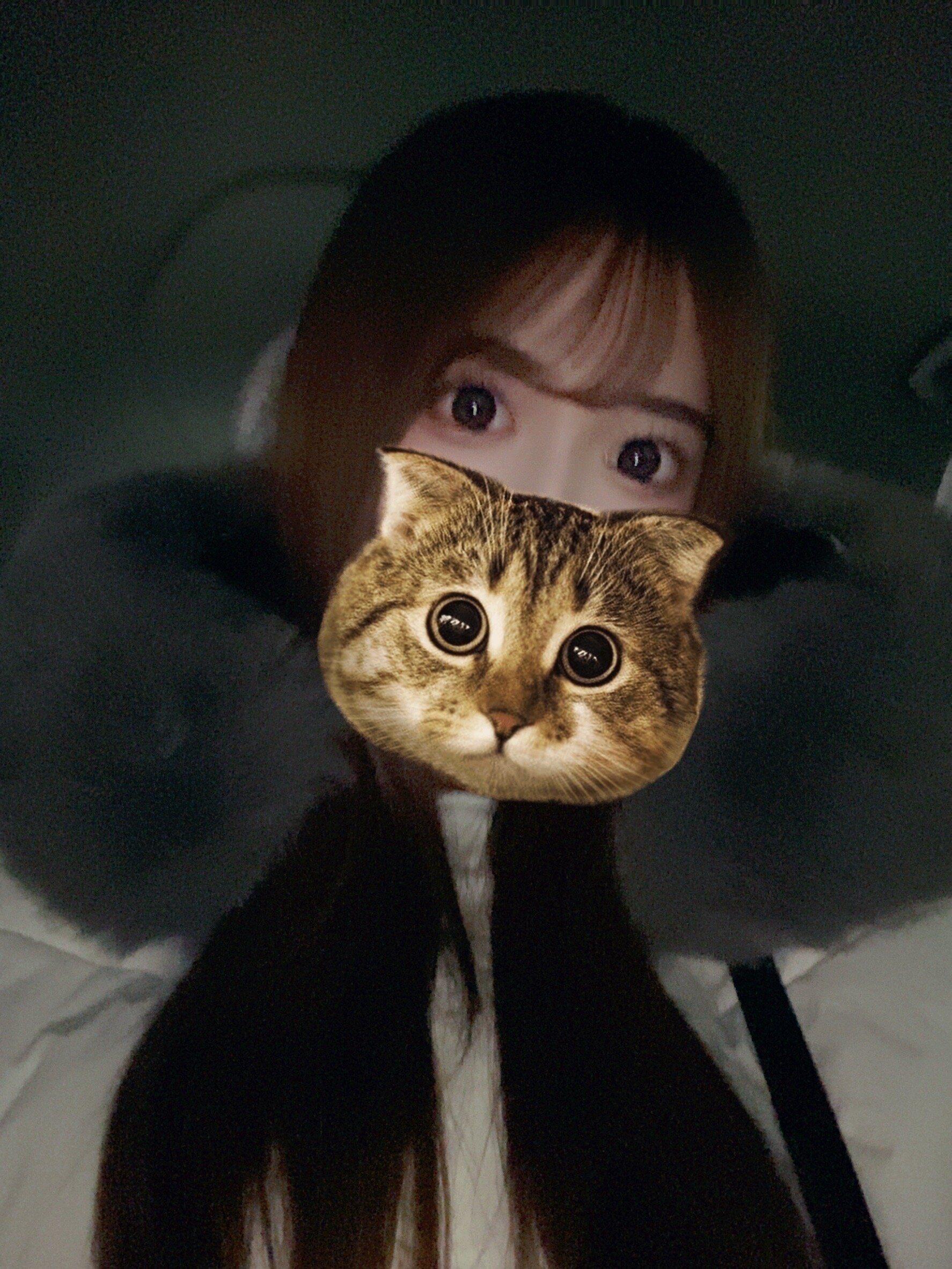 misa_misa_jp