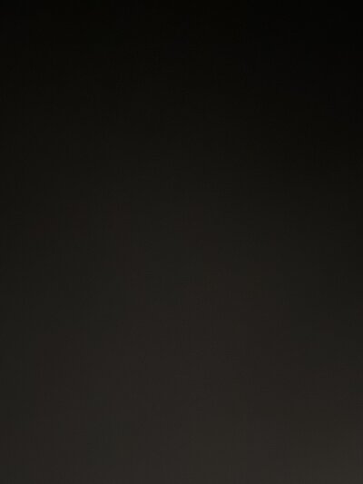 swisshoneyboy Avatar