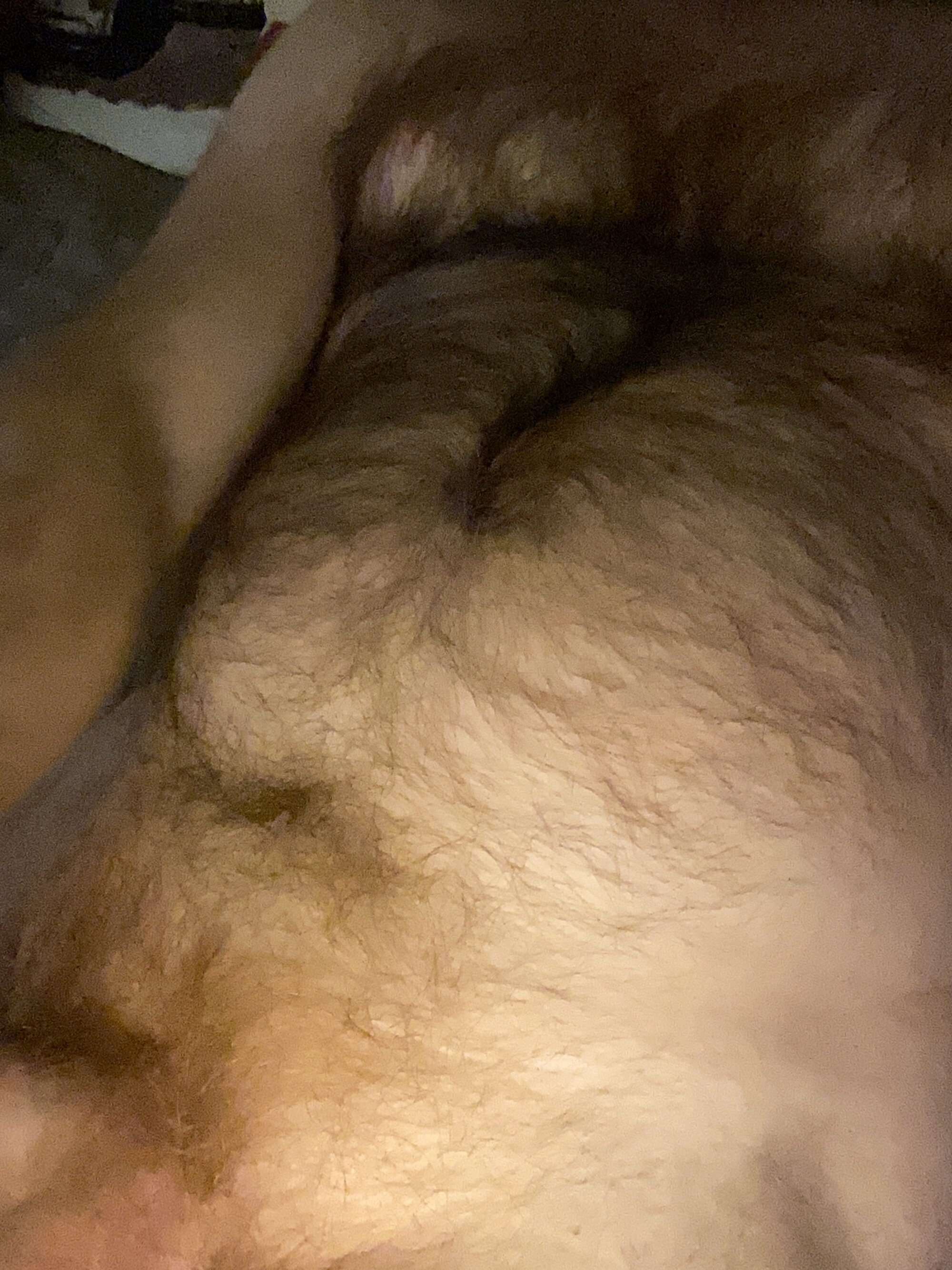 Homohard2