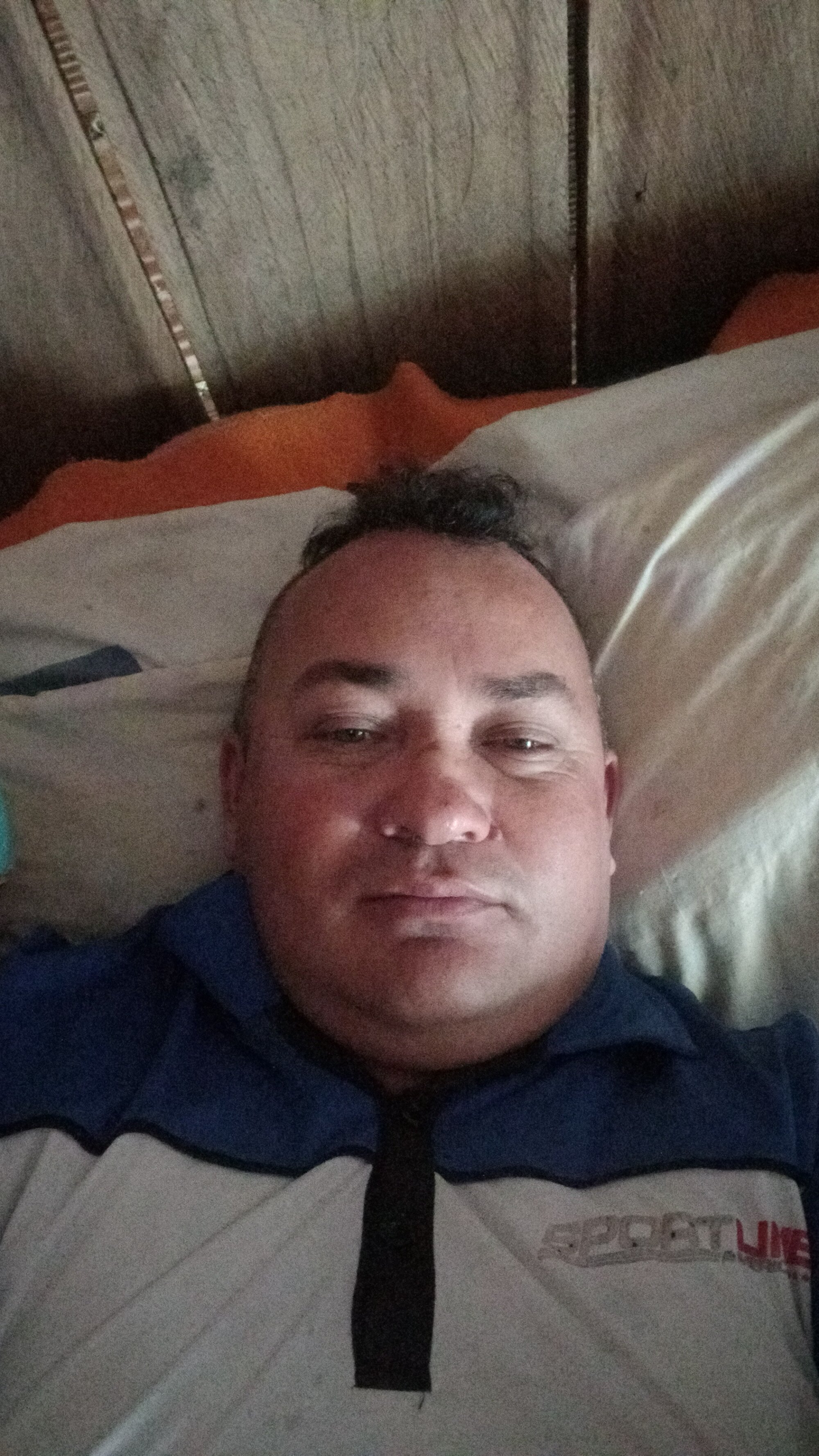 wili_203
