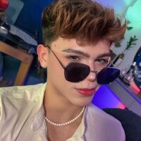 Model PRINCE_STEV