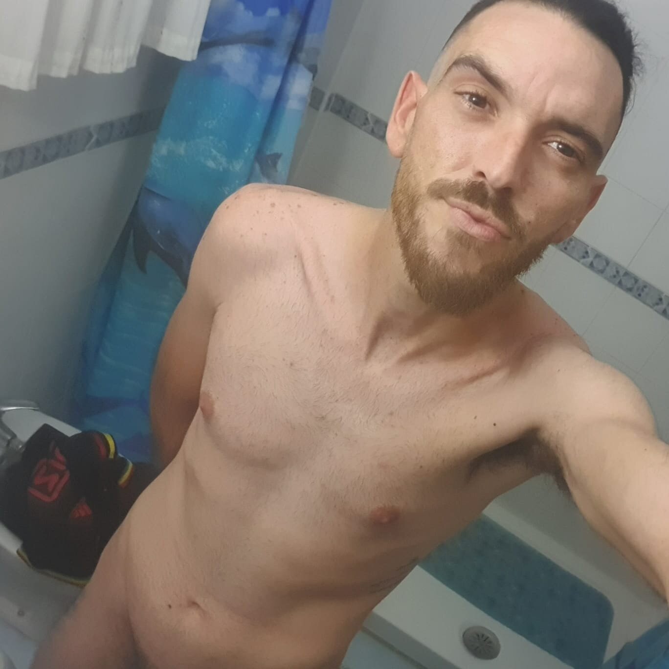 benitomellamo