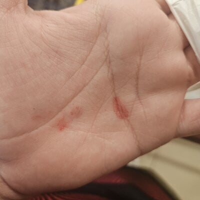 Cearense12cmLive Webcam