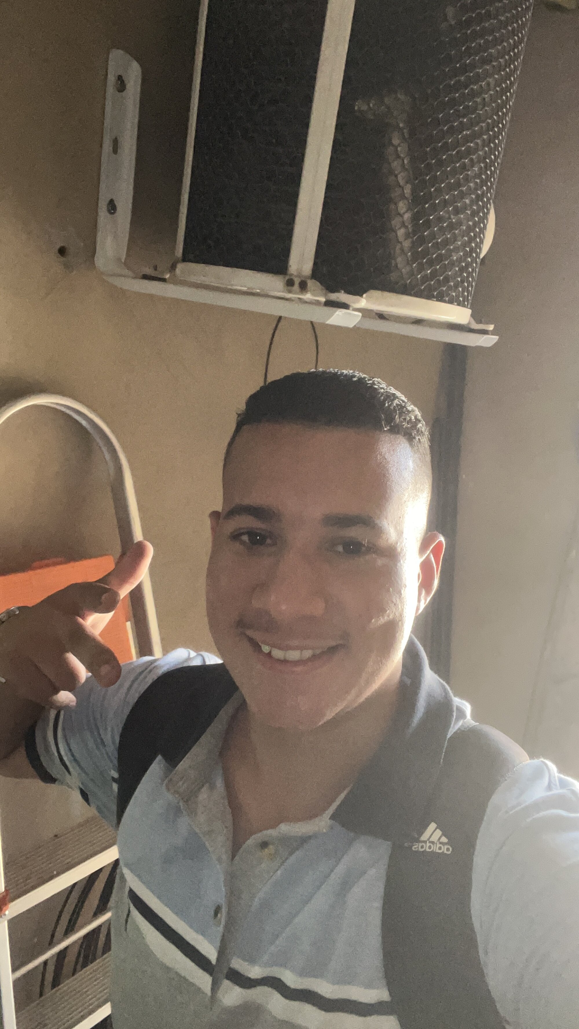 alebigode