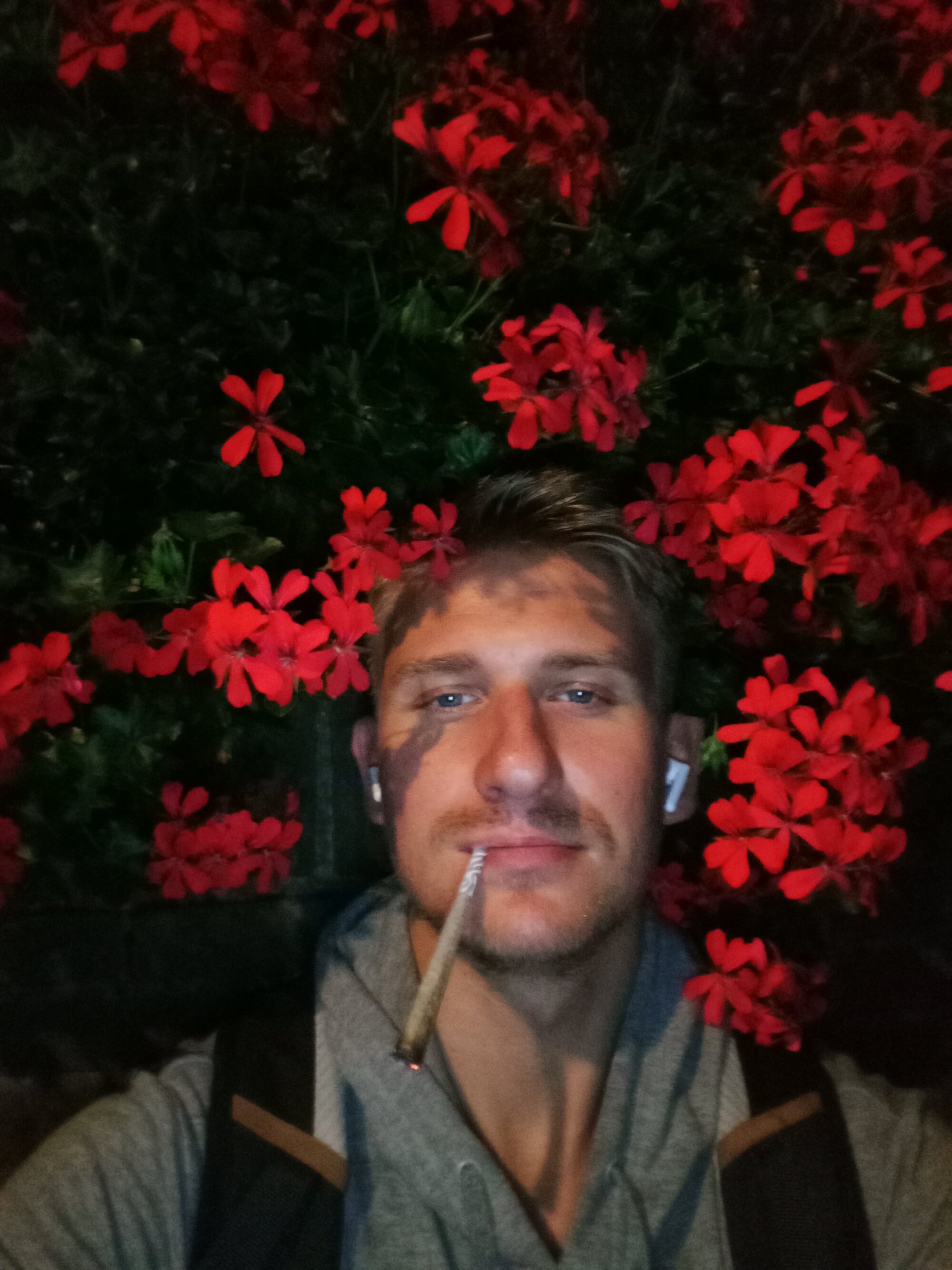 RODELION23