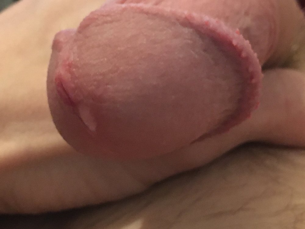 LionBoy1976 Profile Image