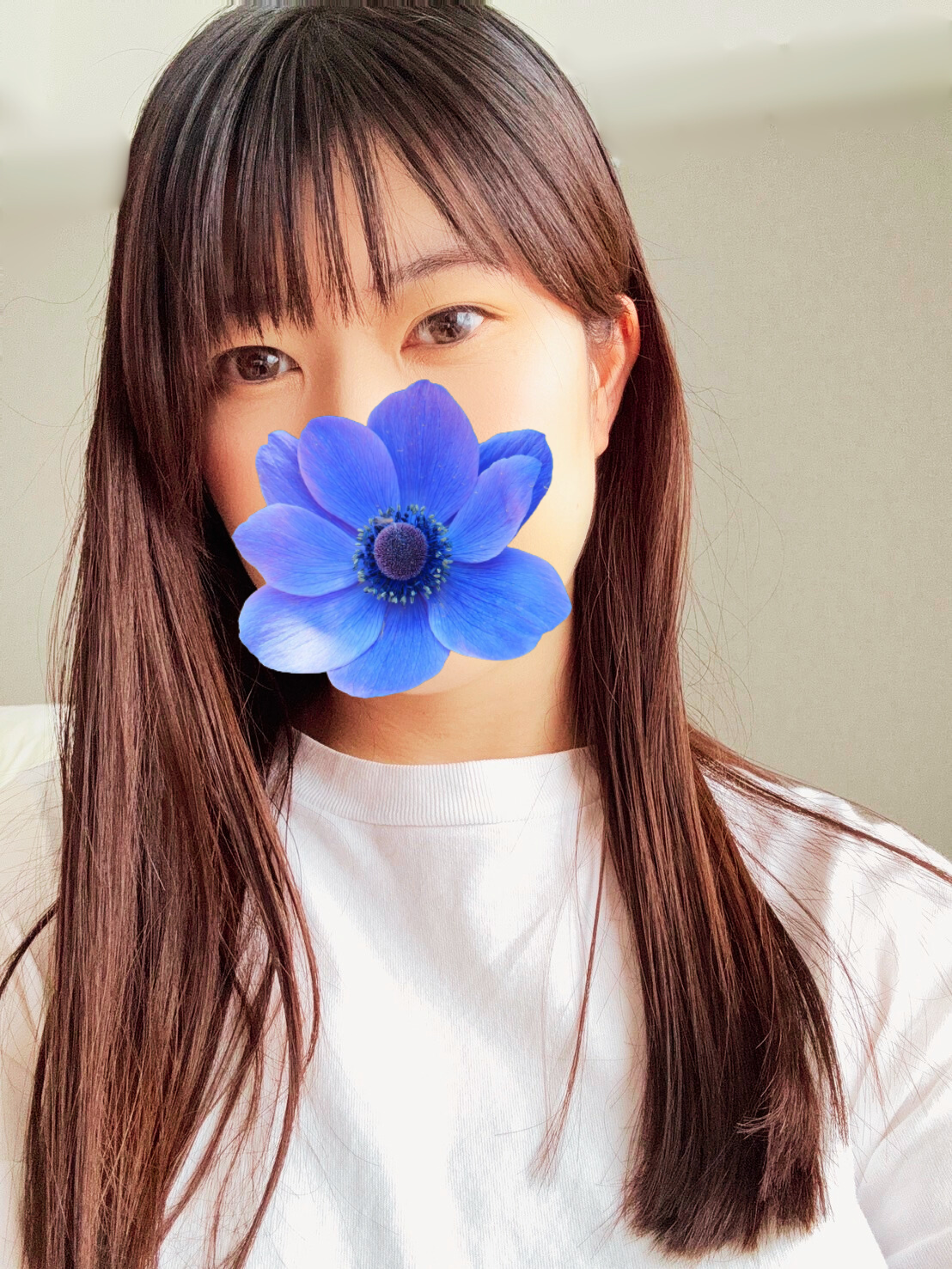 naochan_channao