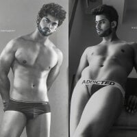 Model John_desihunk