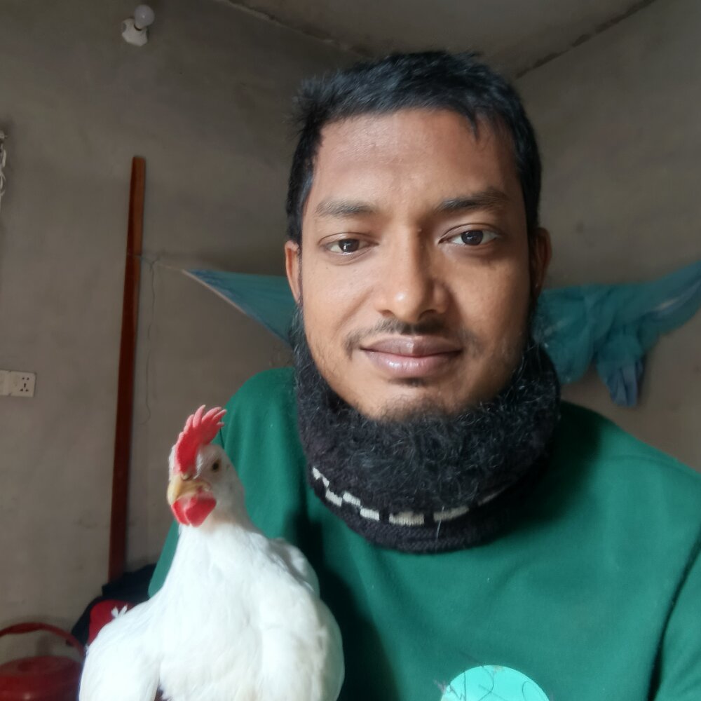 sakib504