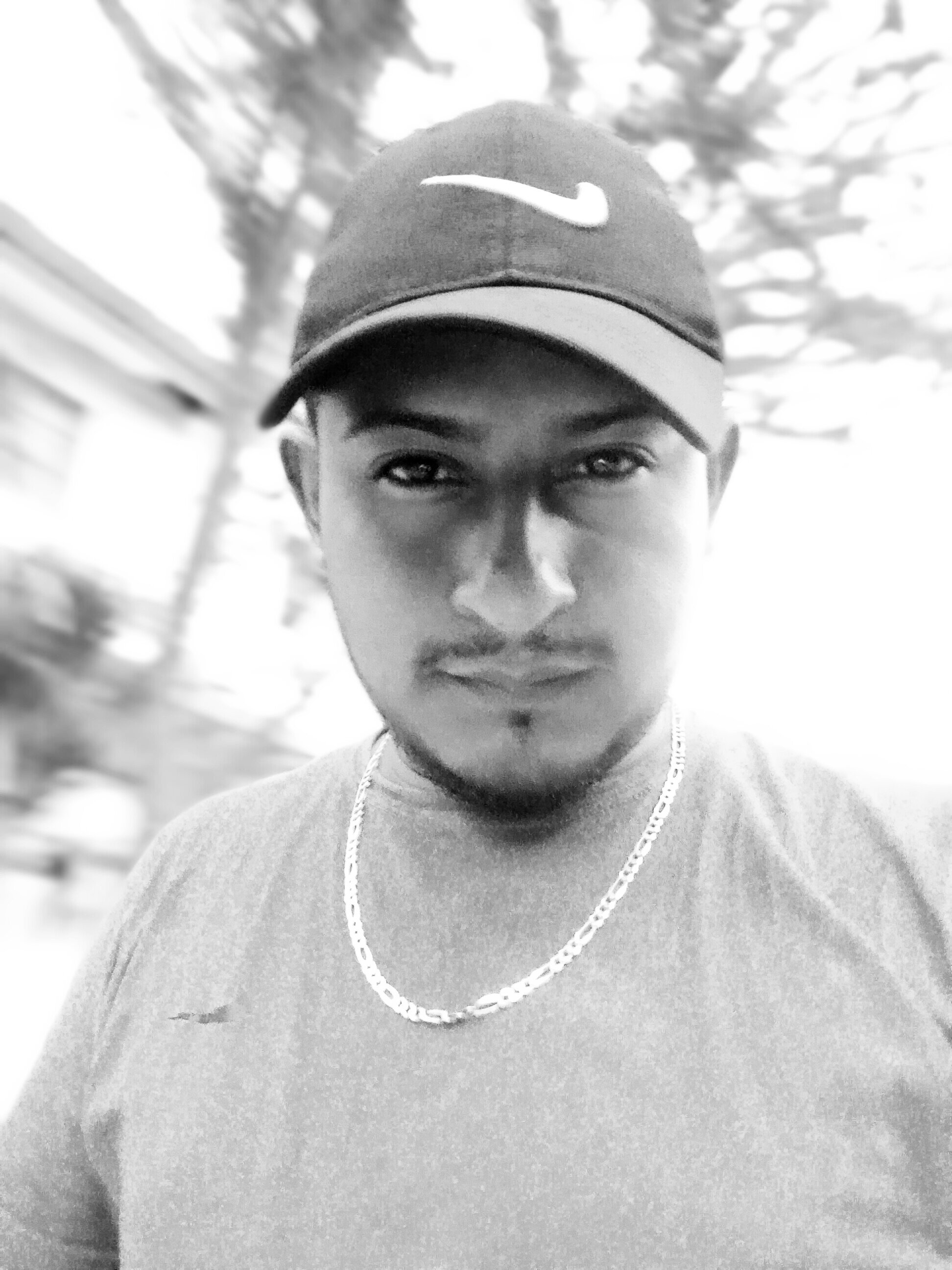 Josuetunepe