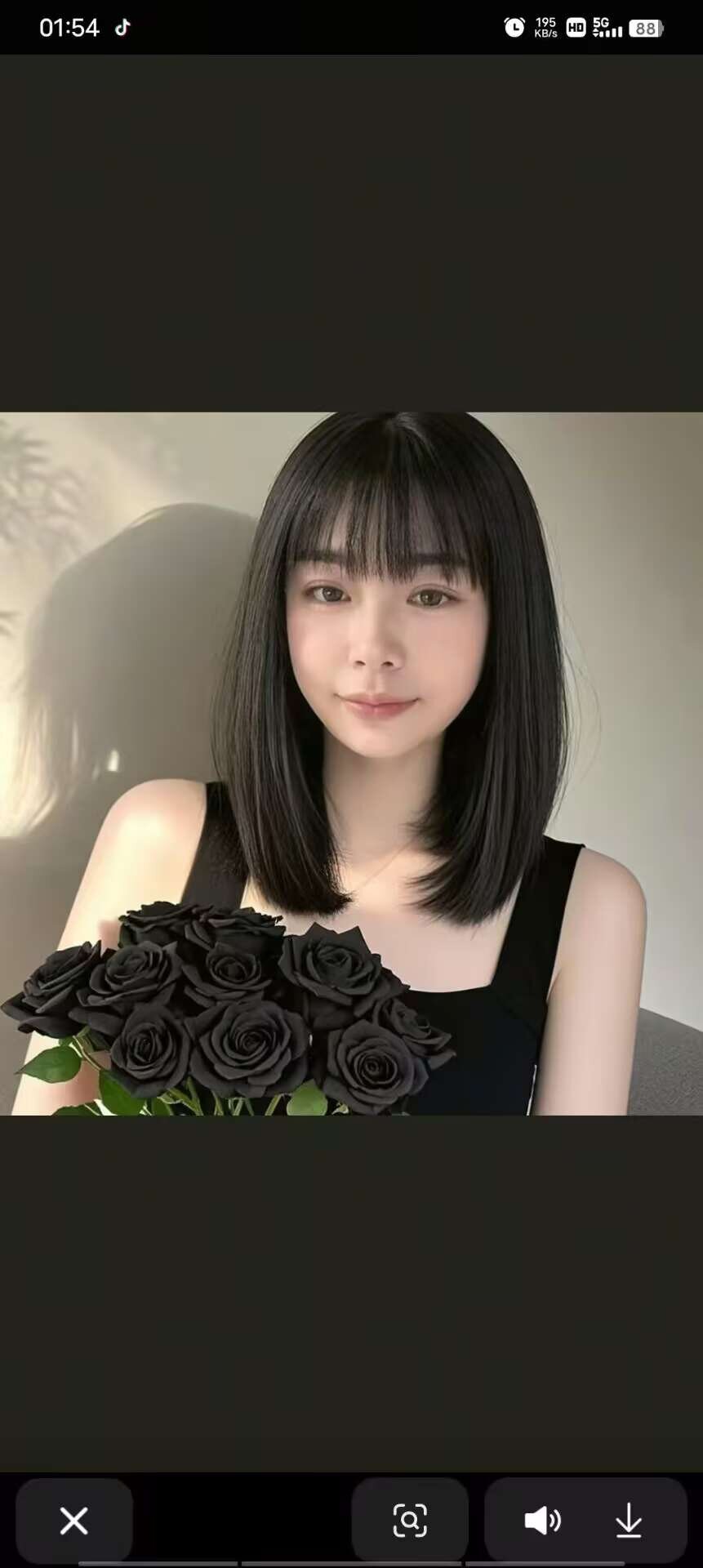 bai-lu