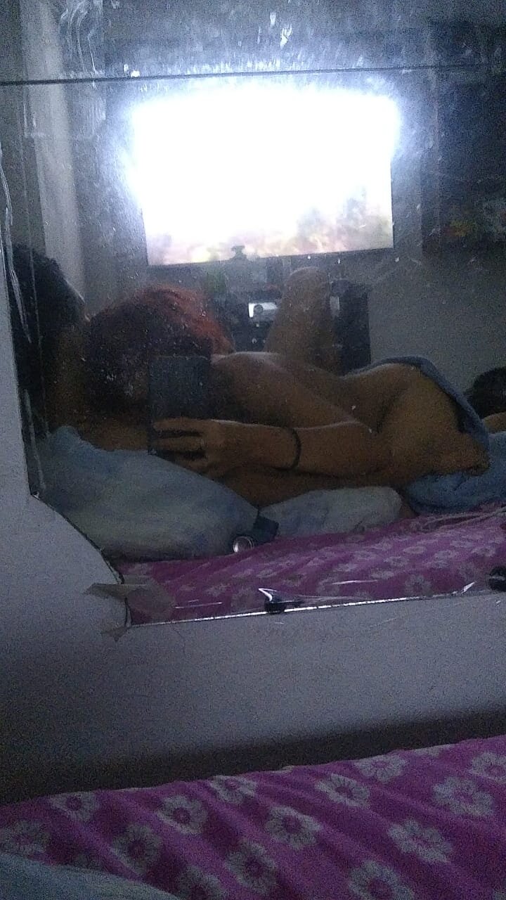felinavida