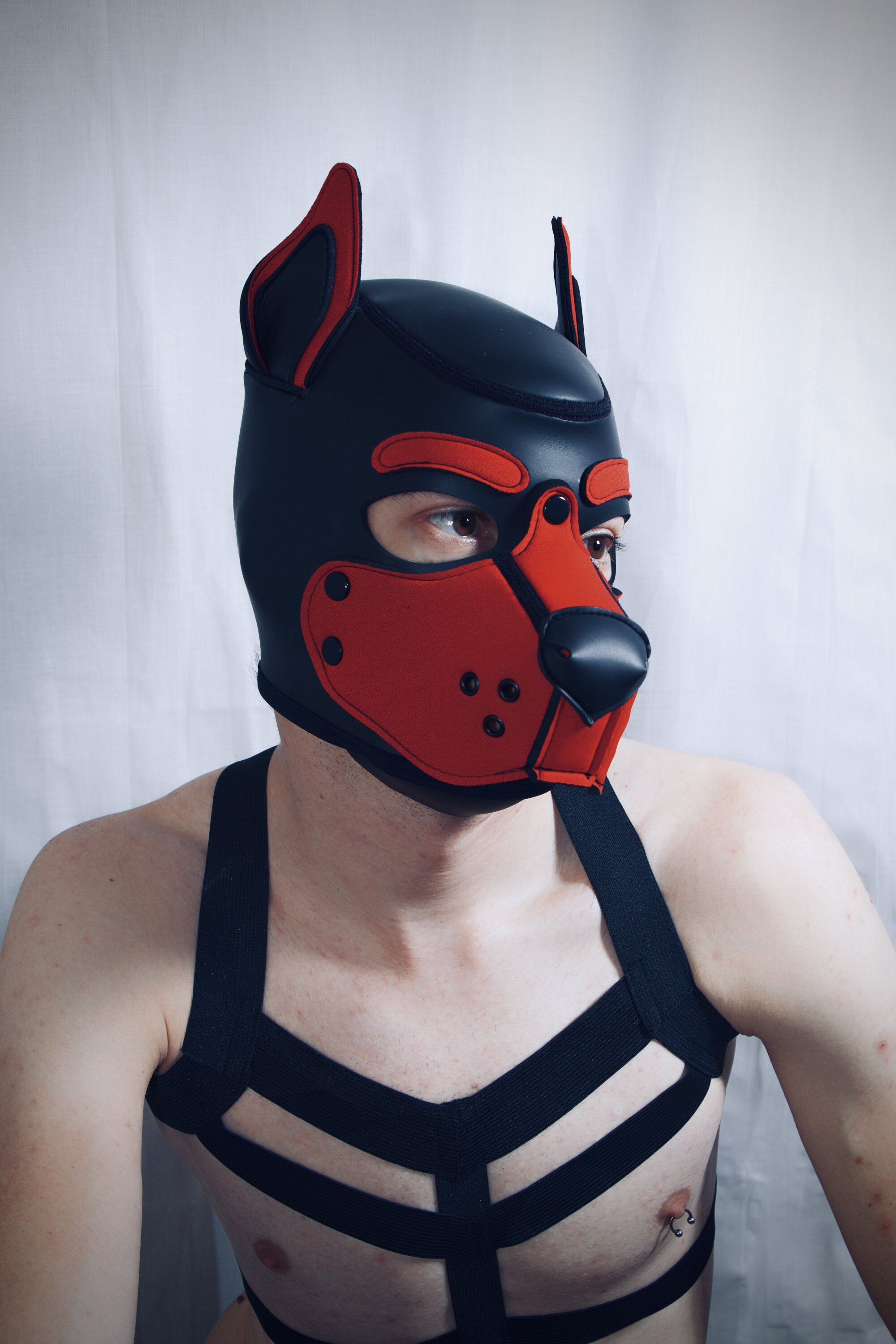 Pup_Jako
