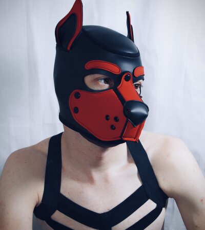 Pup_Jako