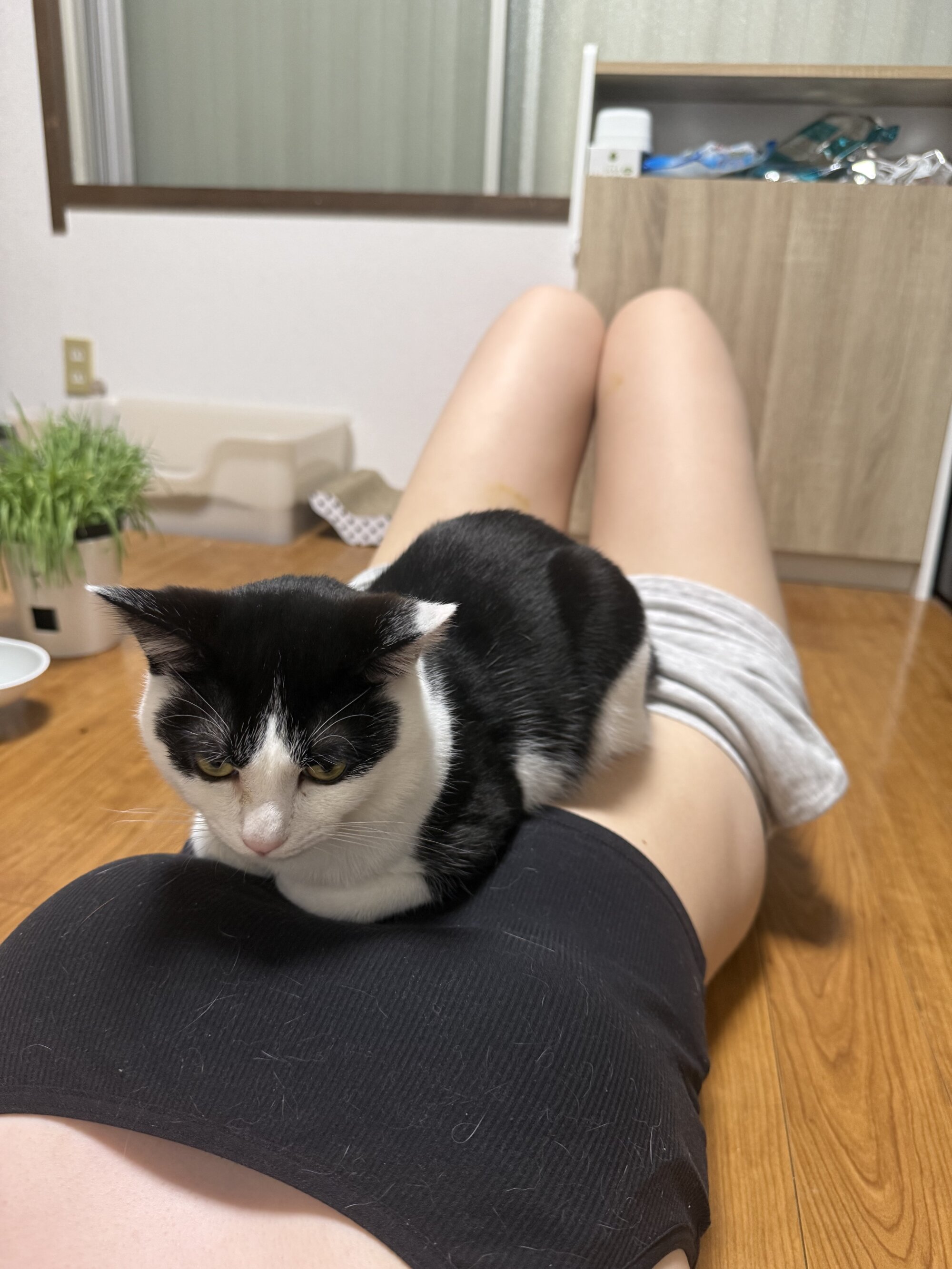 EMI_KA_