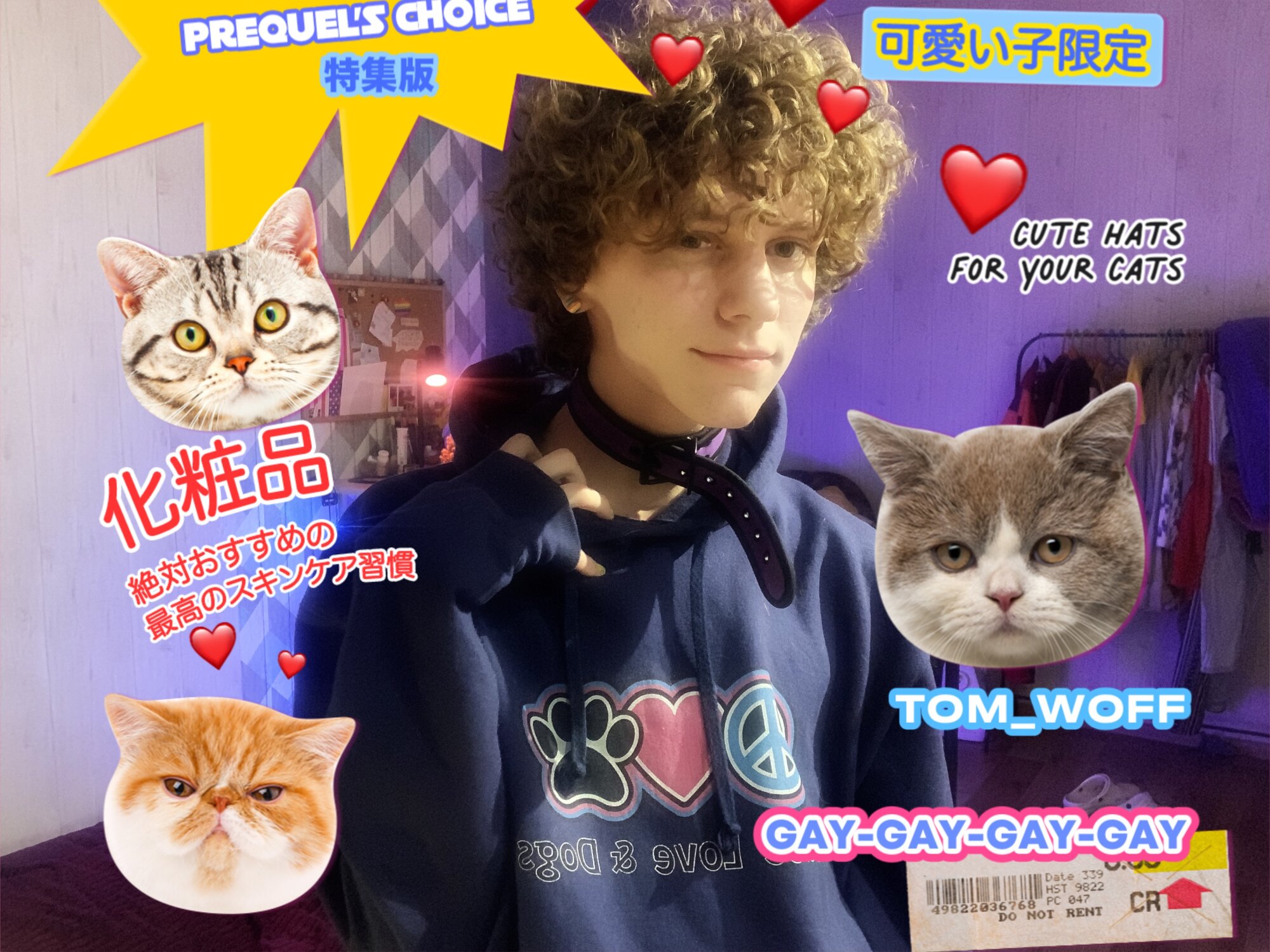 tom_woff