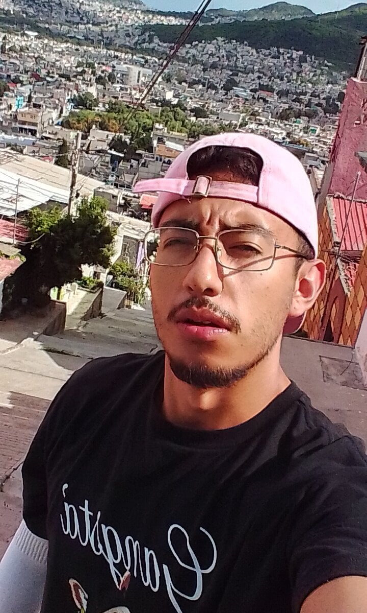 dachog from stripchat