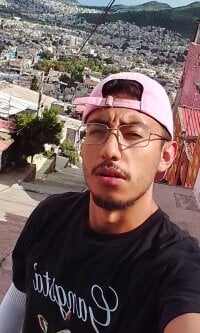 Dachog's webcam live show