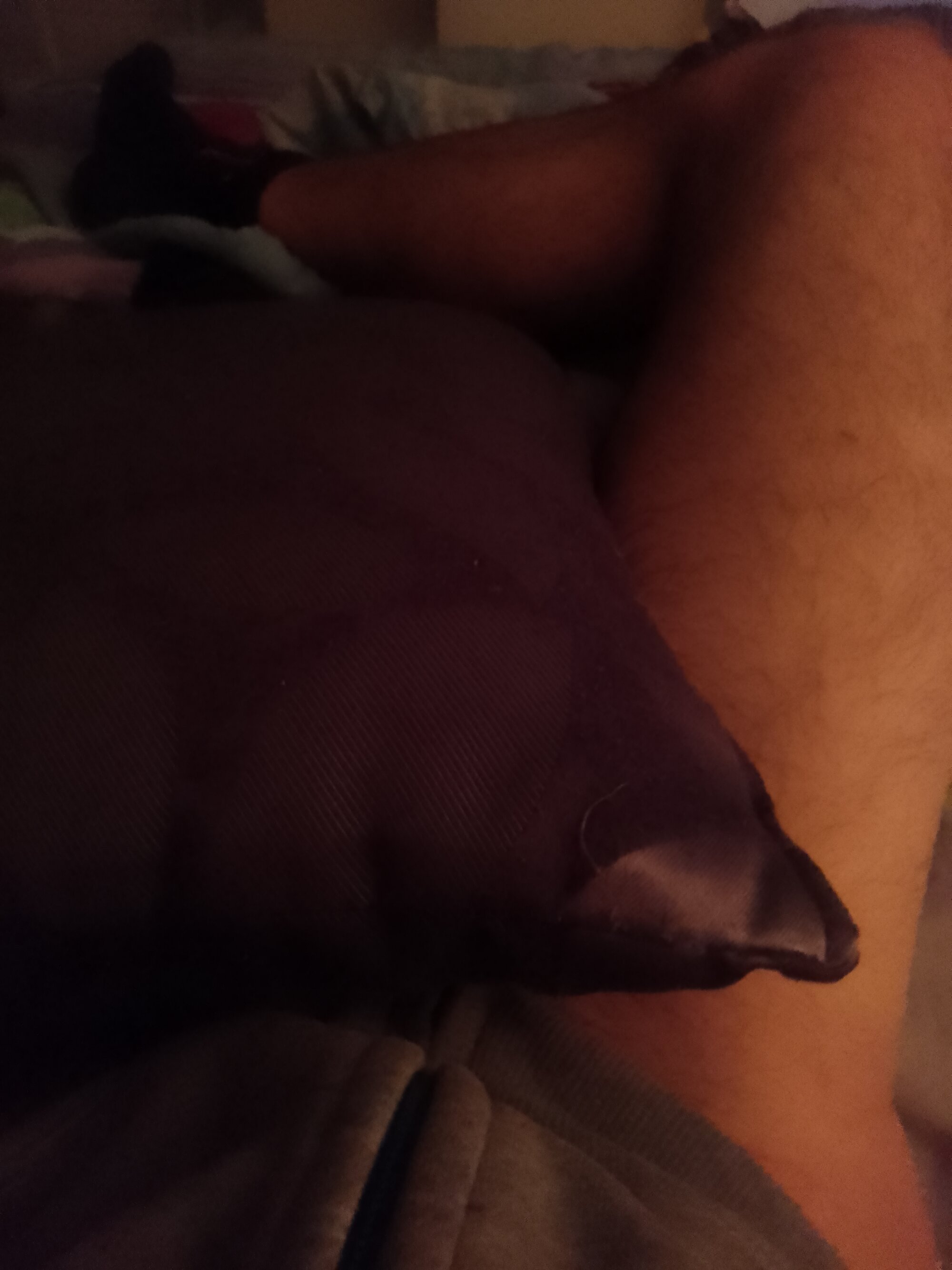 Zzzzzzzzzsodo