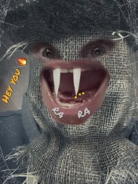 guybo1421983