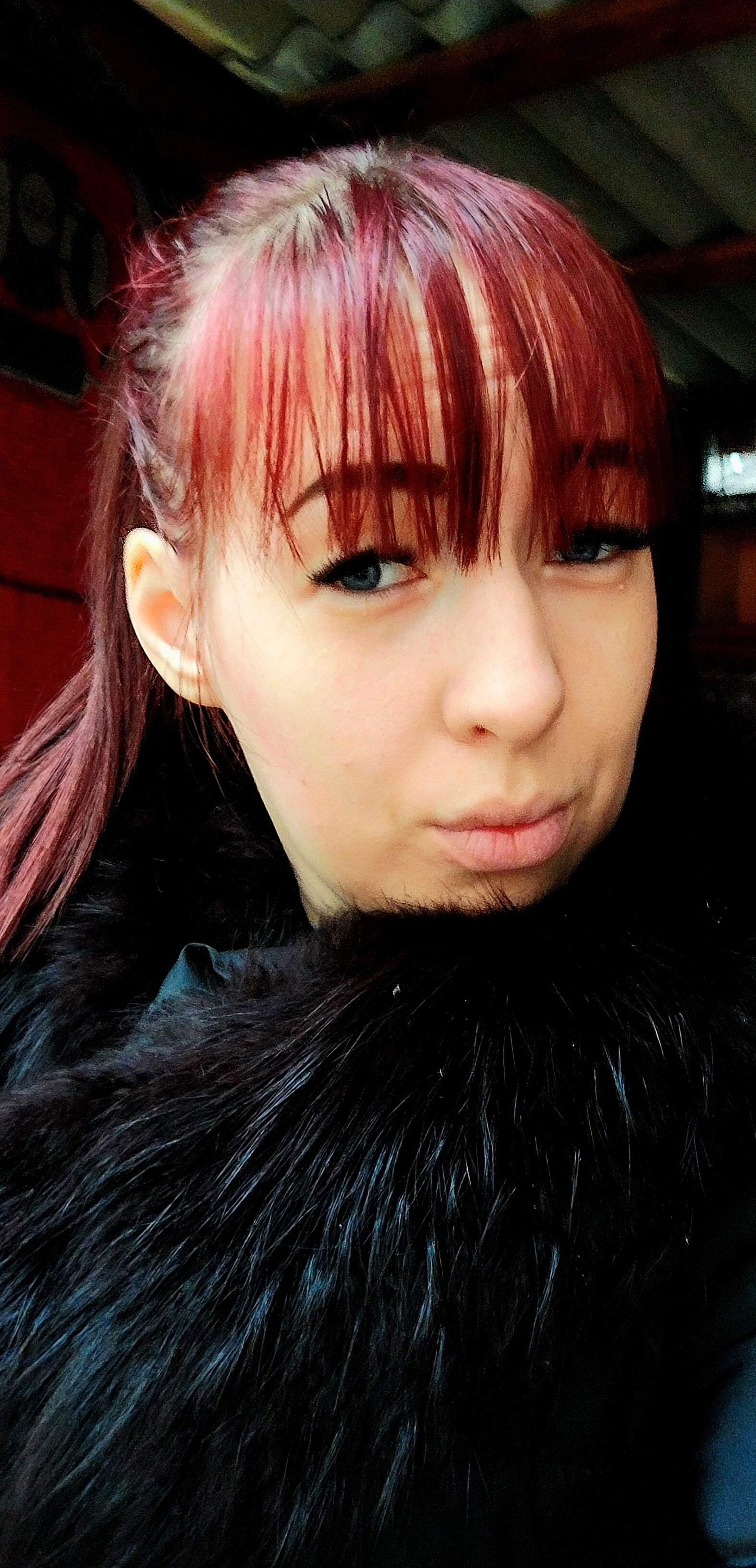 Stacy_Betta