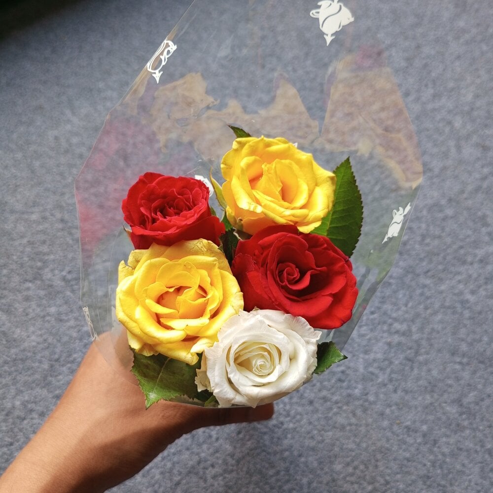 alex_leo_ from stripchat