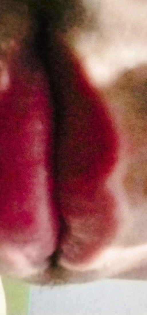 BenozzoG055ol1