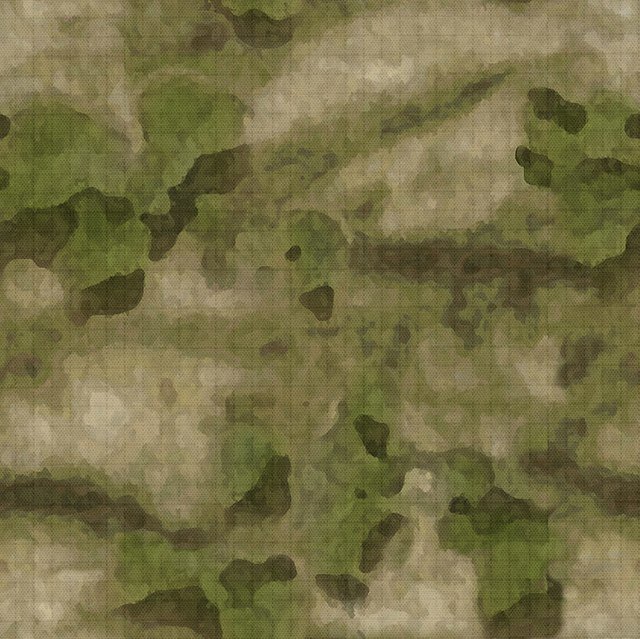 SecretSoldier