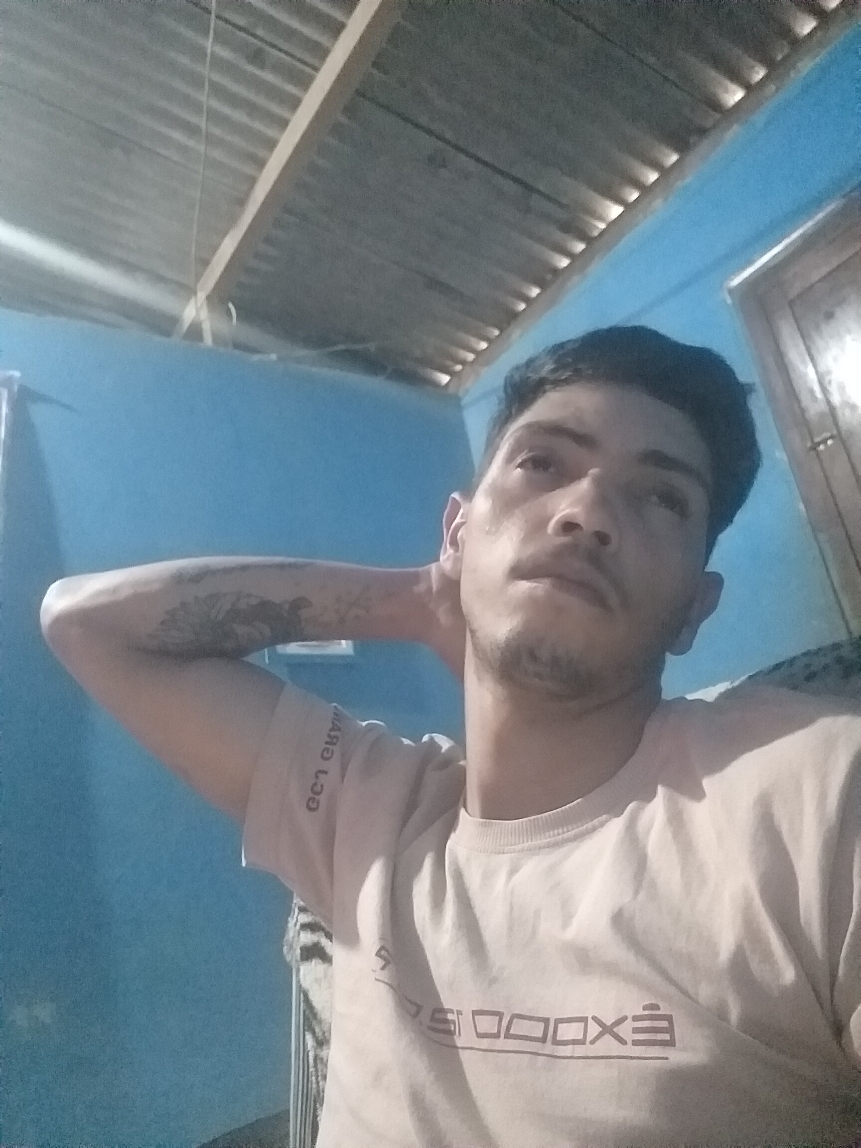 daniel22picagrade