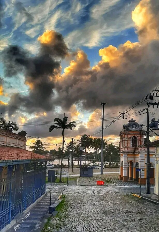 gatomagro10