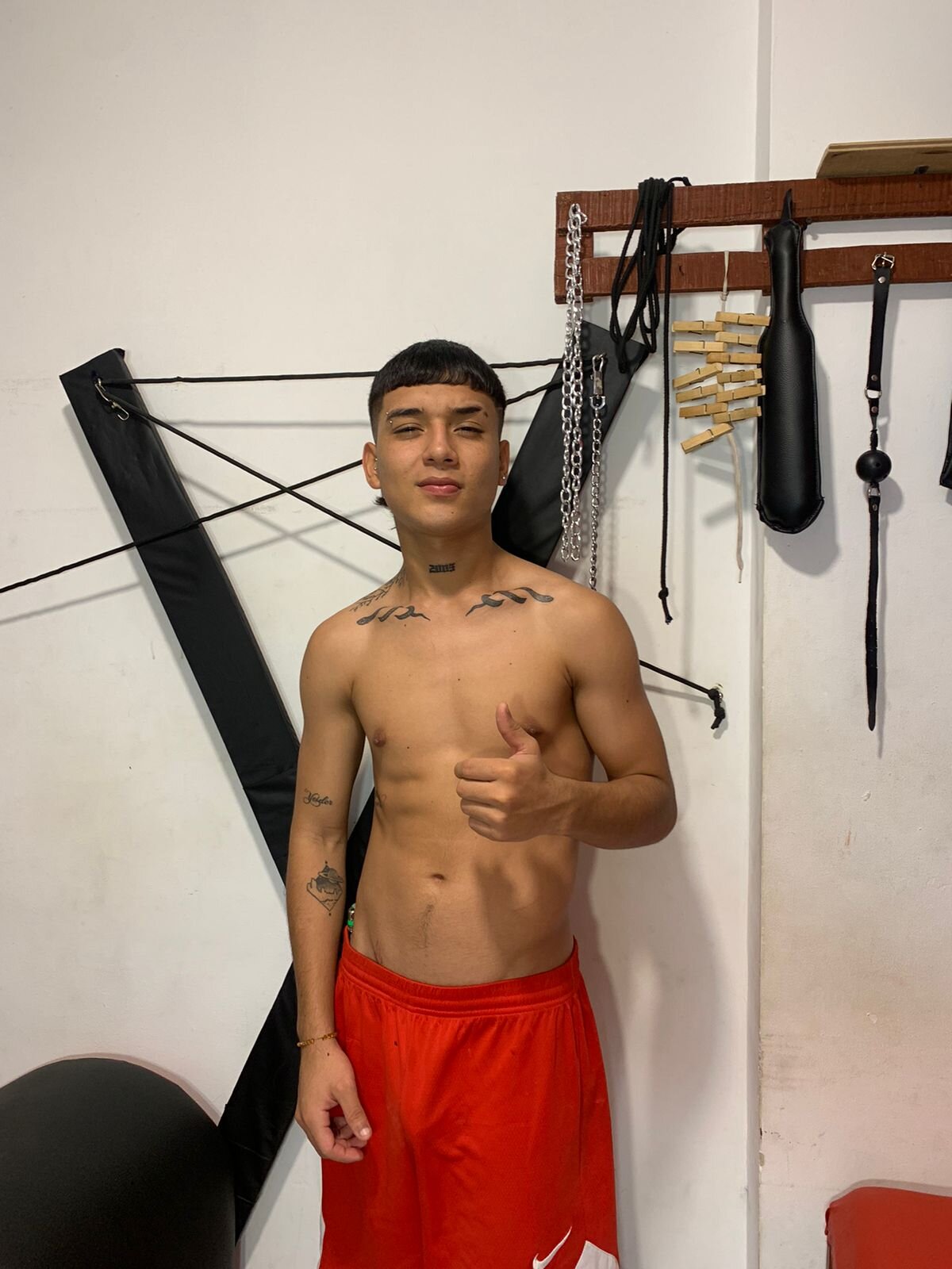 Steel_lion03