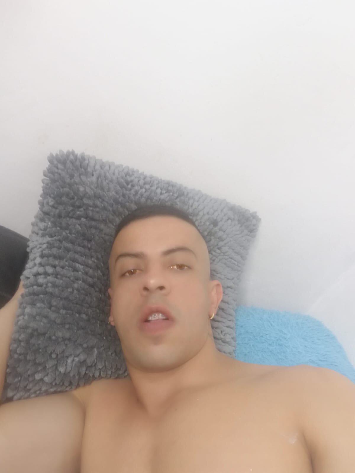 Bull_Morgan