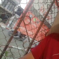Arrecho998899's Offline XXX Chat