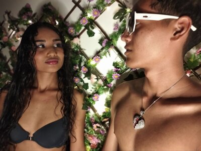 wildcock_ ♟ stream