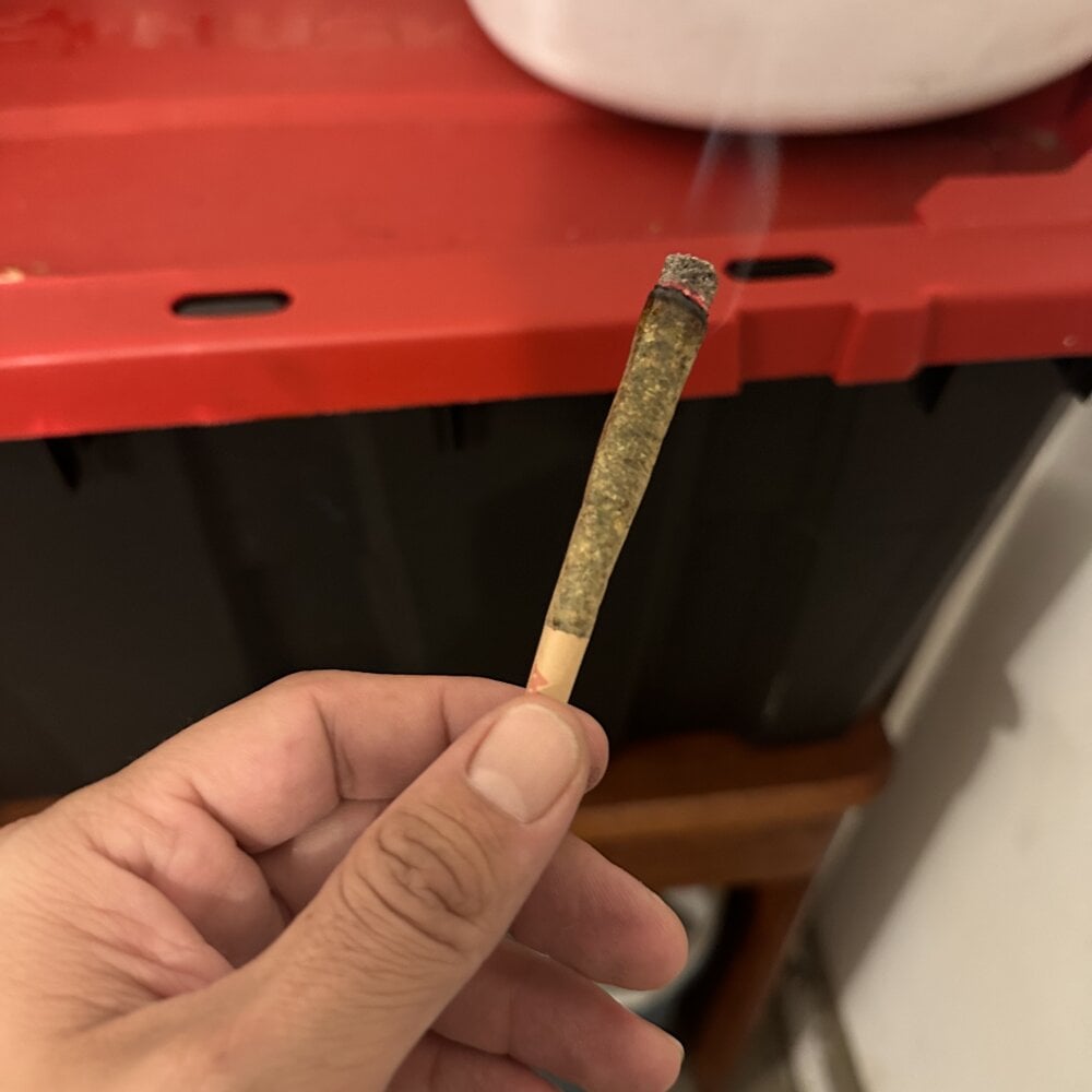 Chatroom XXX hors ligne de Super_boy125