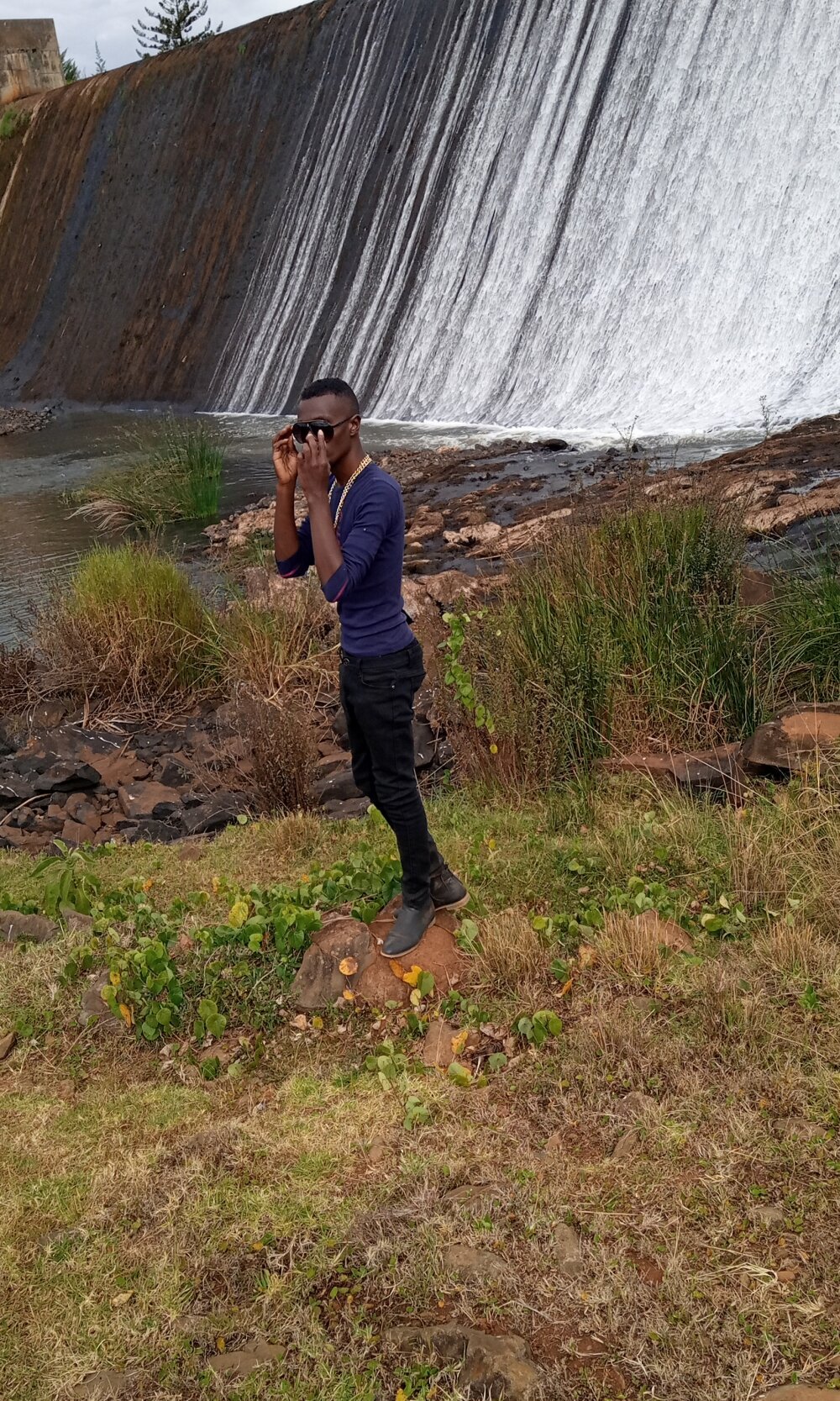 reezly profile