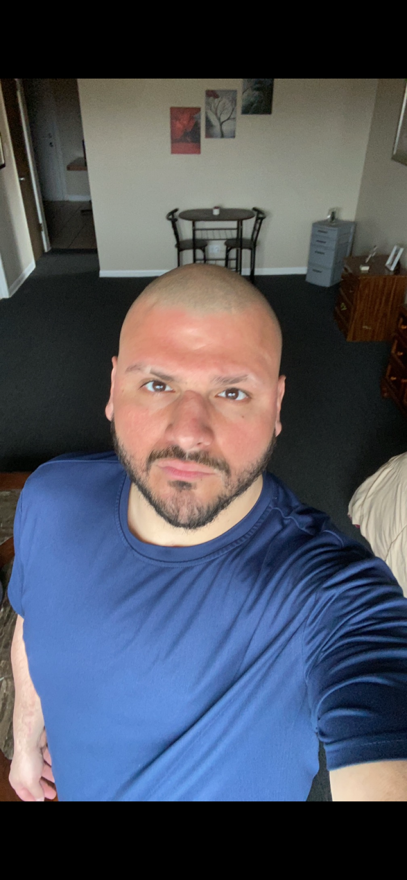 JacksonTheBull