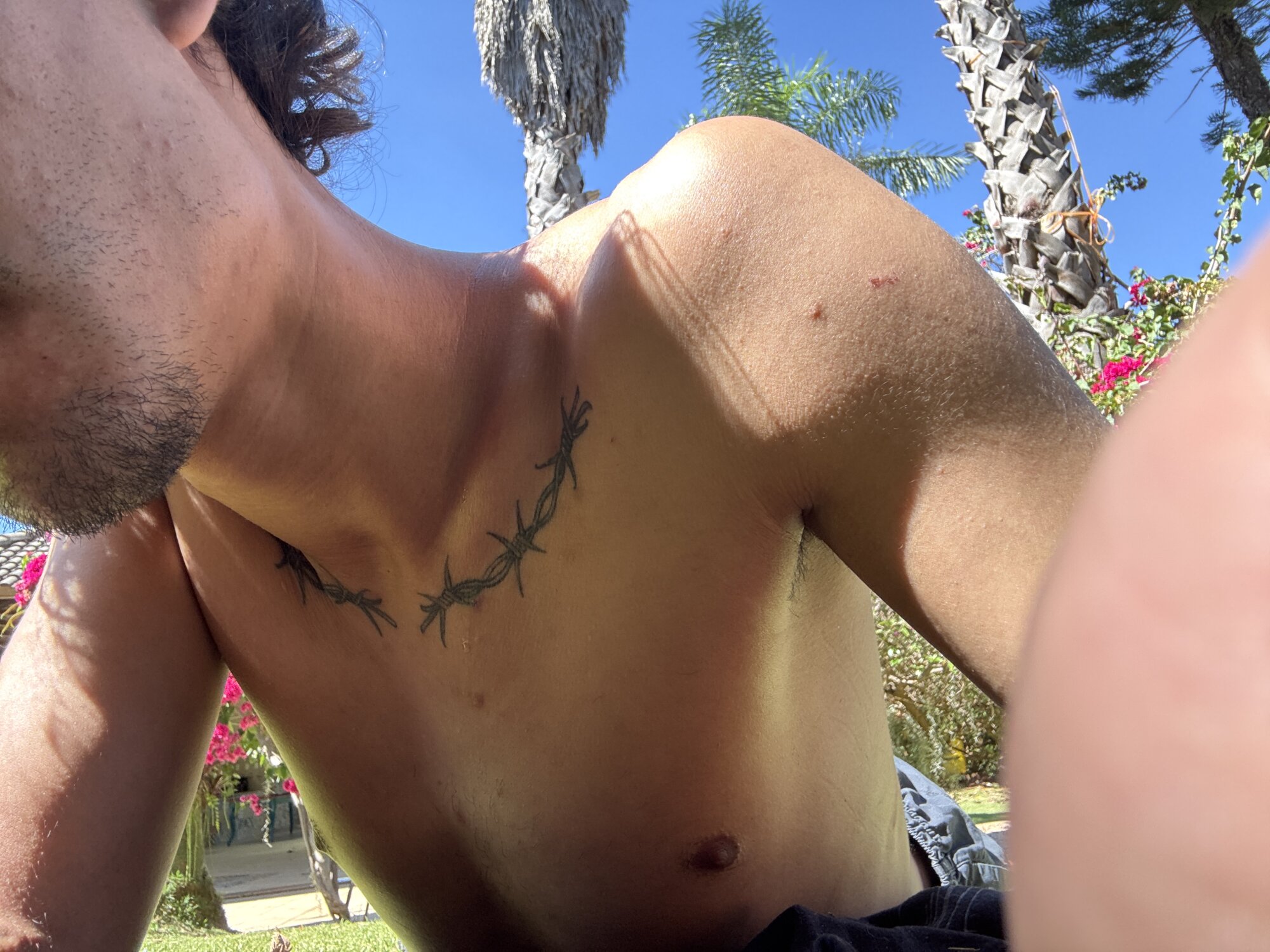 AndreasMarquese