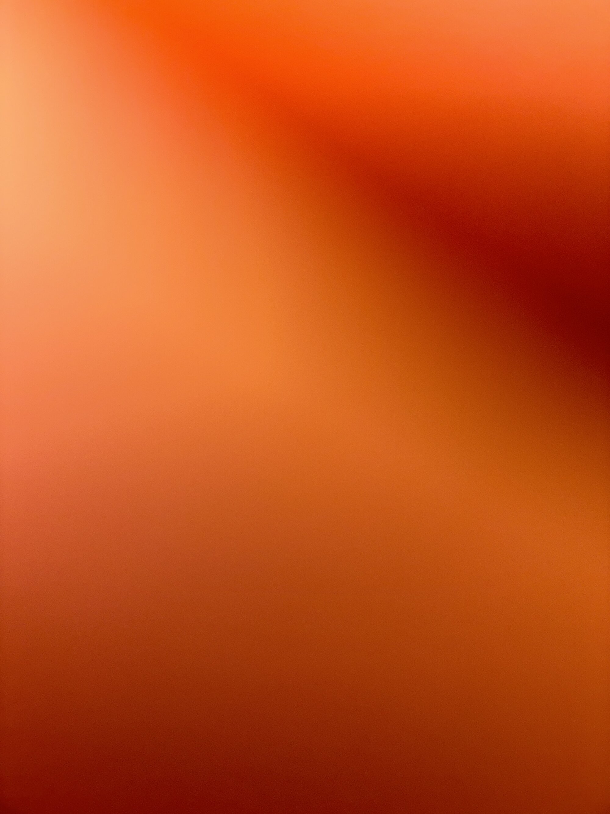 theleo6969