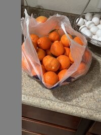 DjDani69's webcam live show