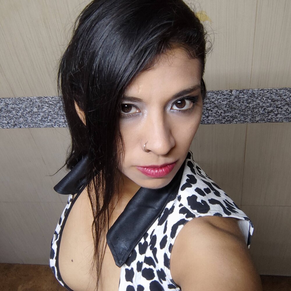 Shaid_roller profile