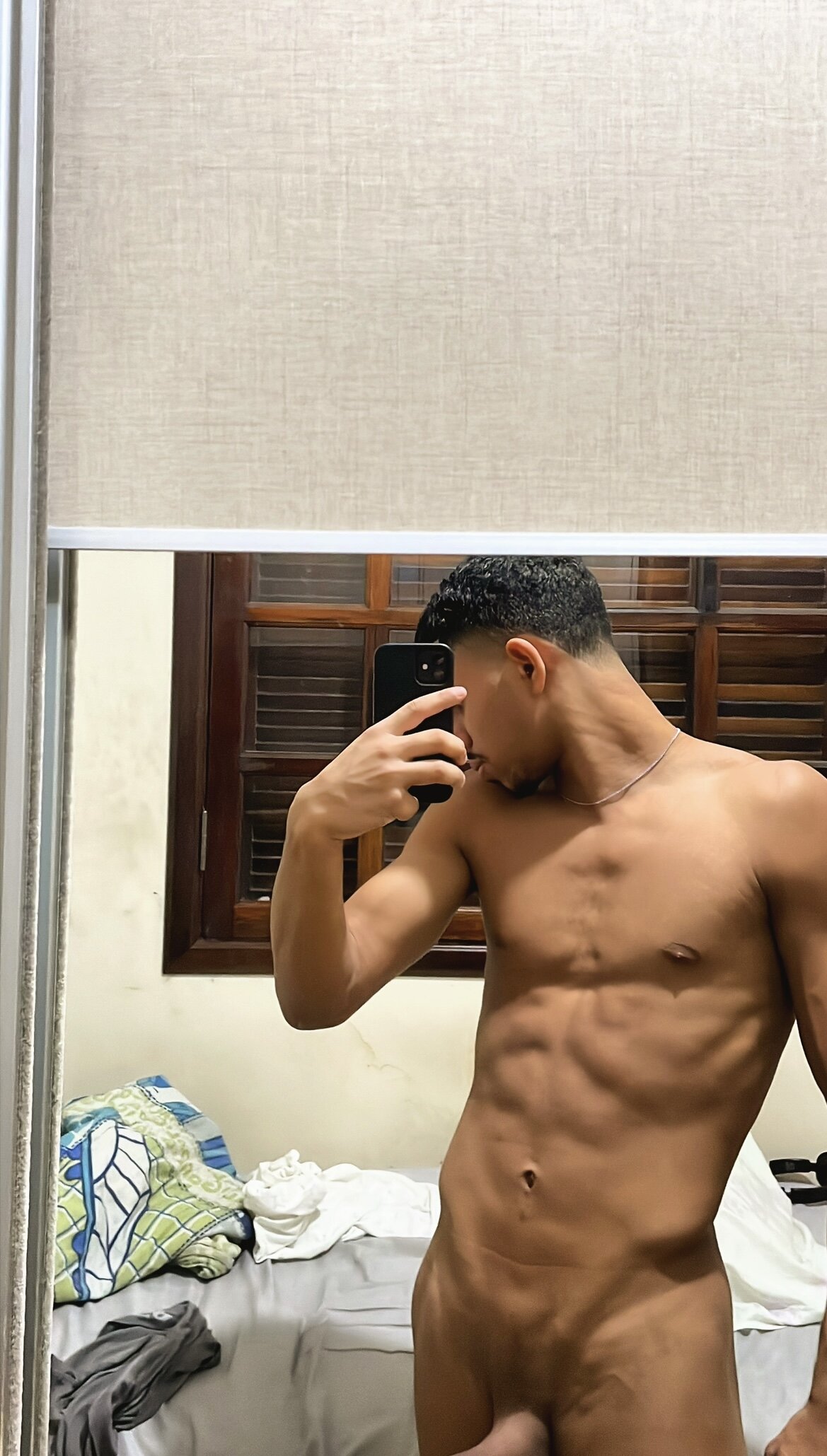 samambaia1