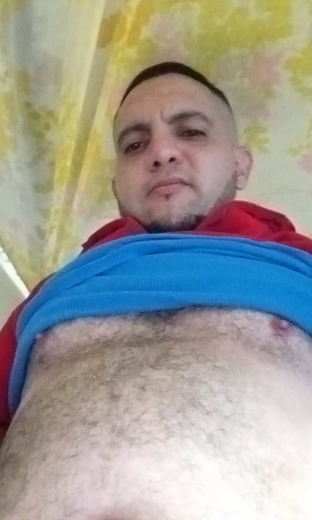 Regio_vergudo profile