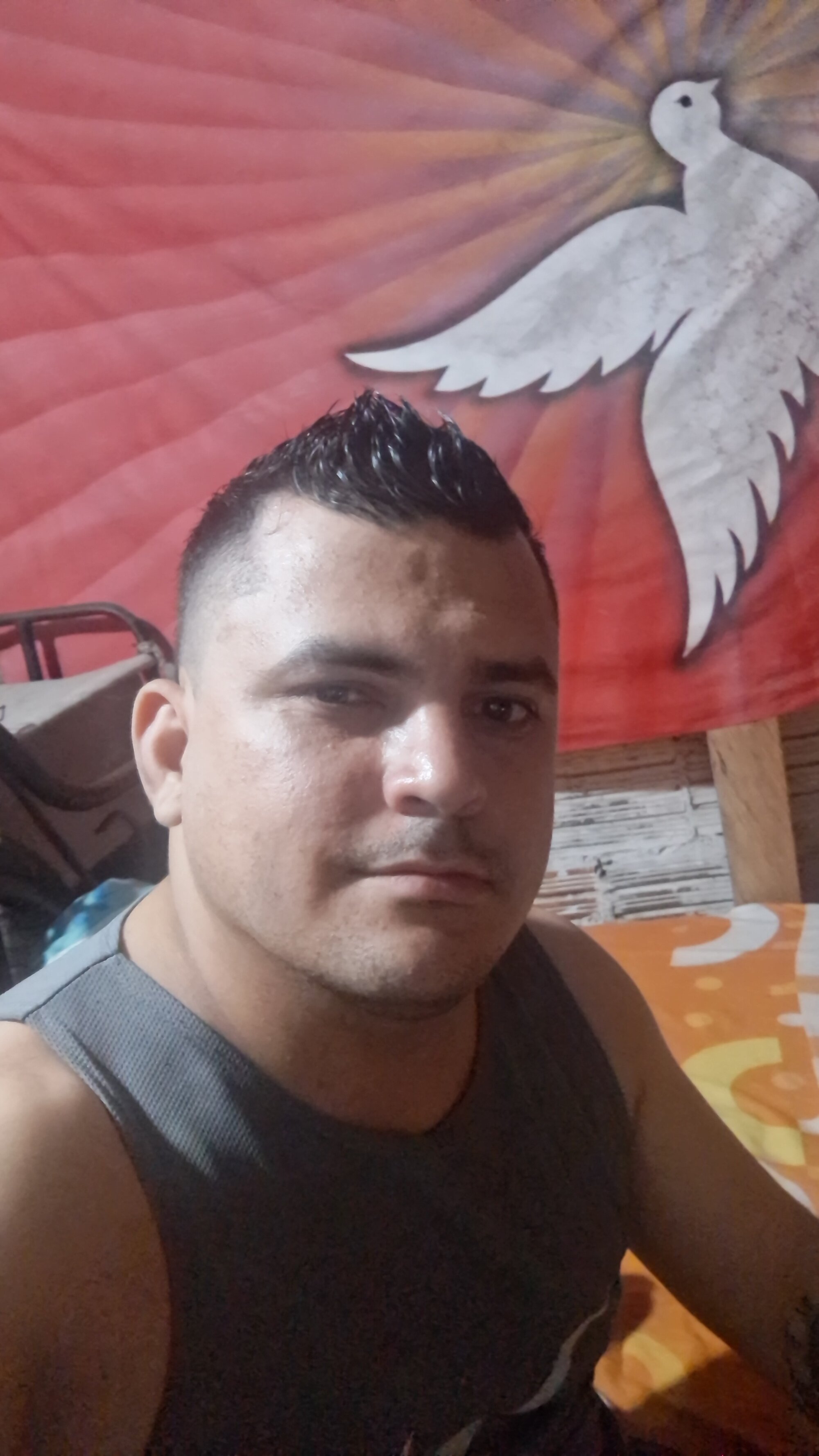 Arcangel_05 live webcam