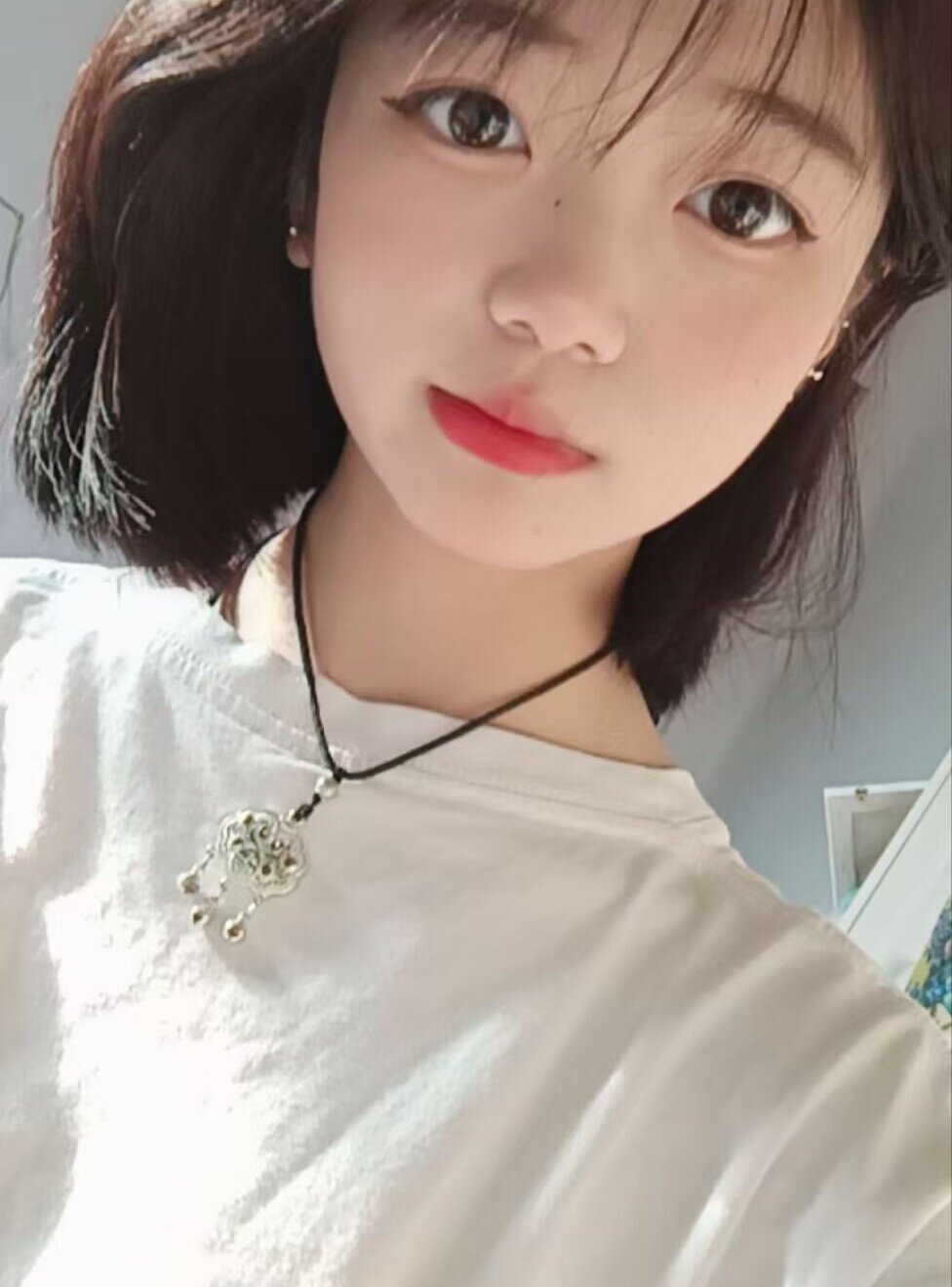 WEI-WEI-88 profile
